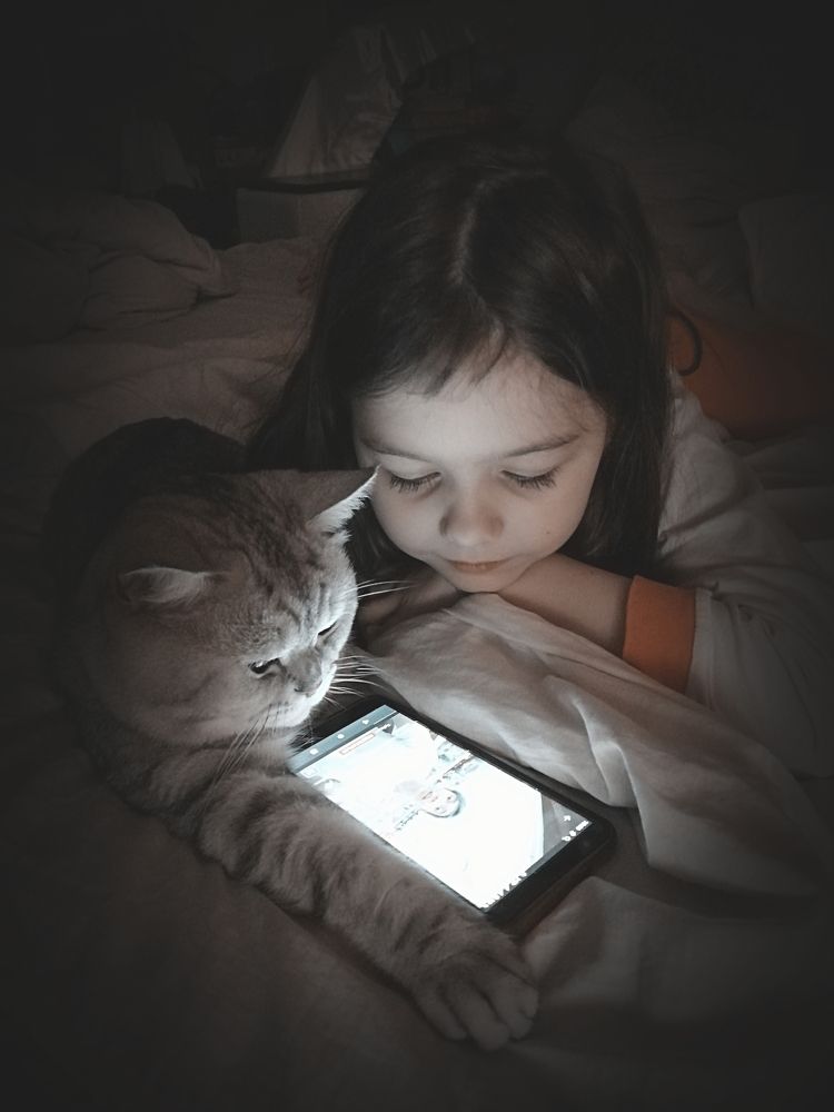 Котя в телефоне