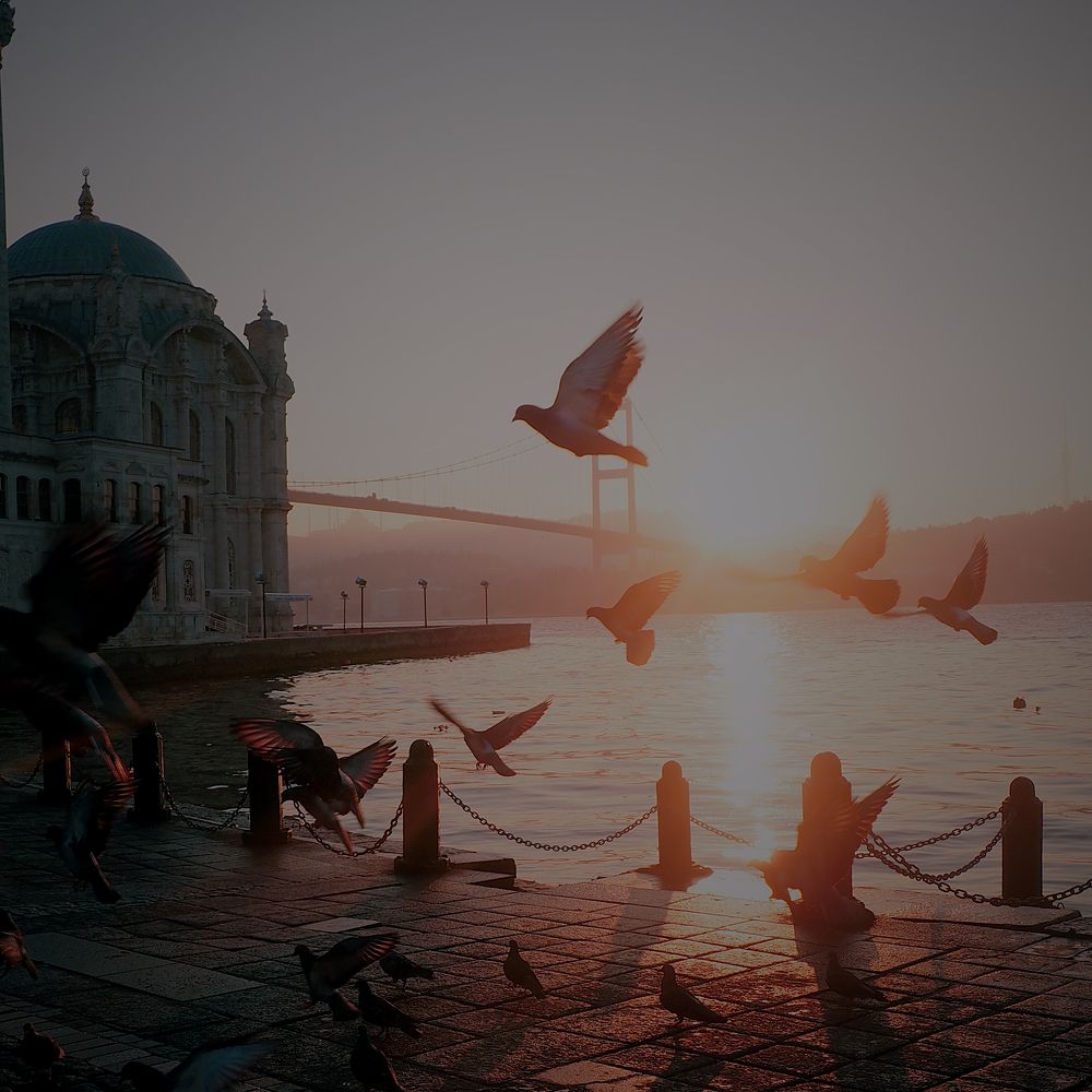 Photograph by Евгения Мягкова