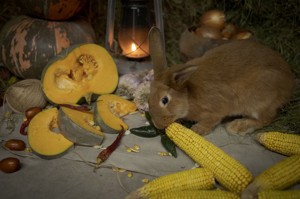 Photograph by Инна Дрокина