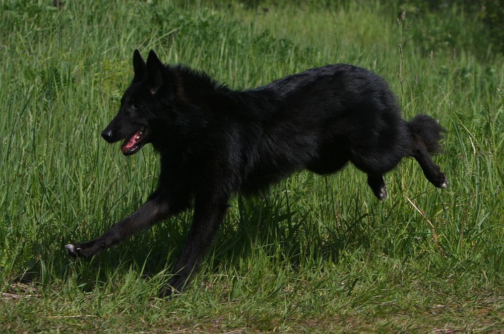 Фотография автора Надежда Лисицына