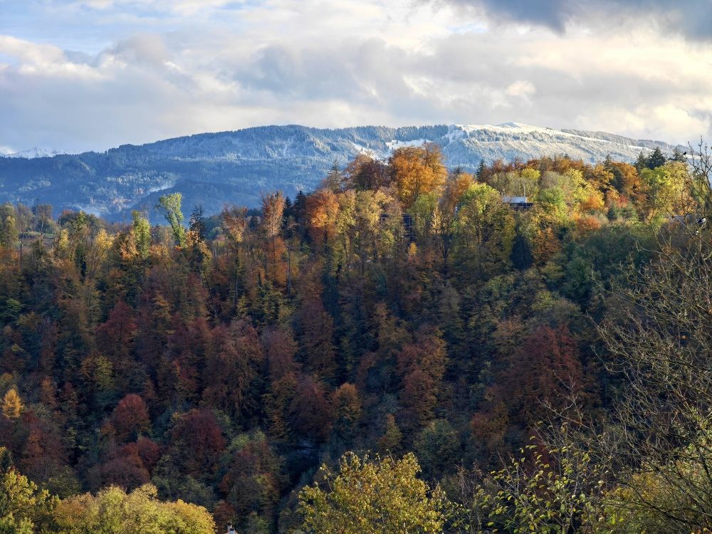 Photograph by Kristina Frizyuk