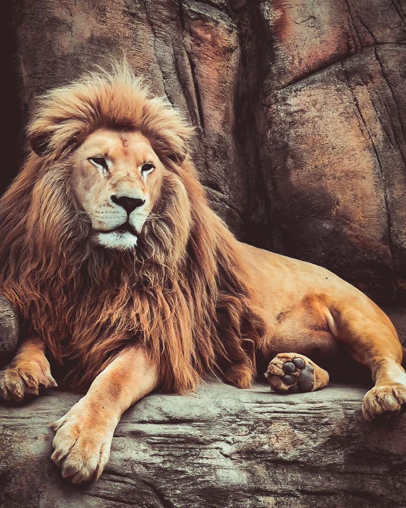 Photograph by Павел Агеев