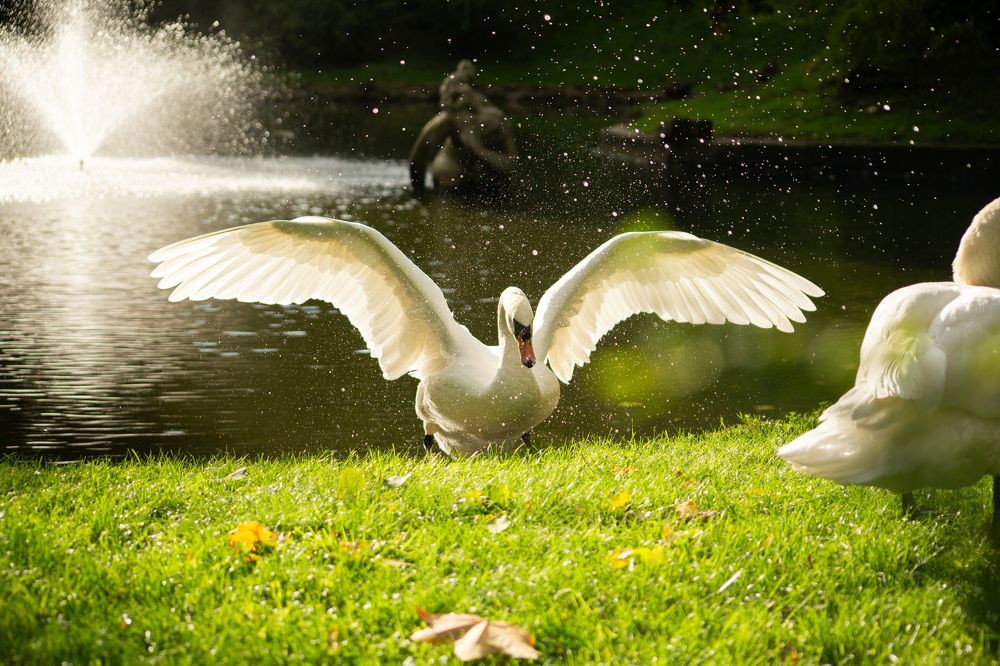 Фотография автора Андрій Майовець