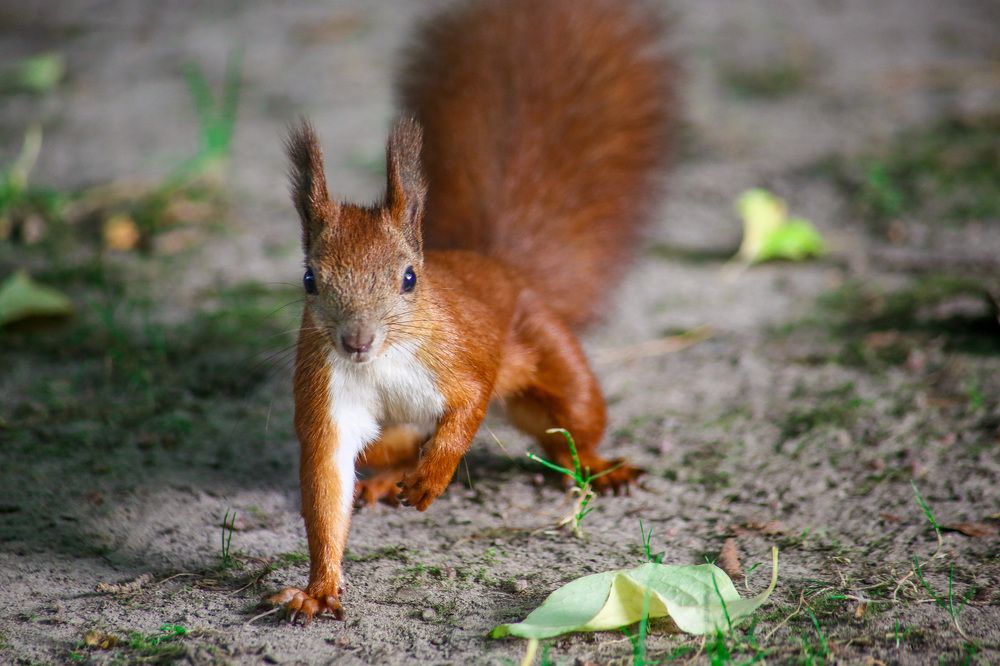 Фотография автора Андрій Майовець