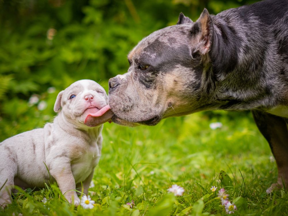 Photograph by Dina Damotseva