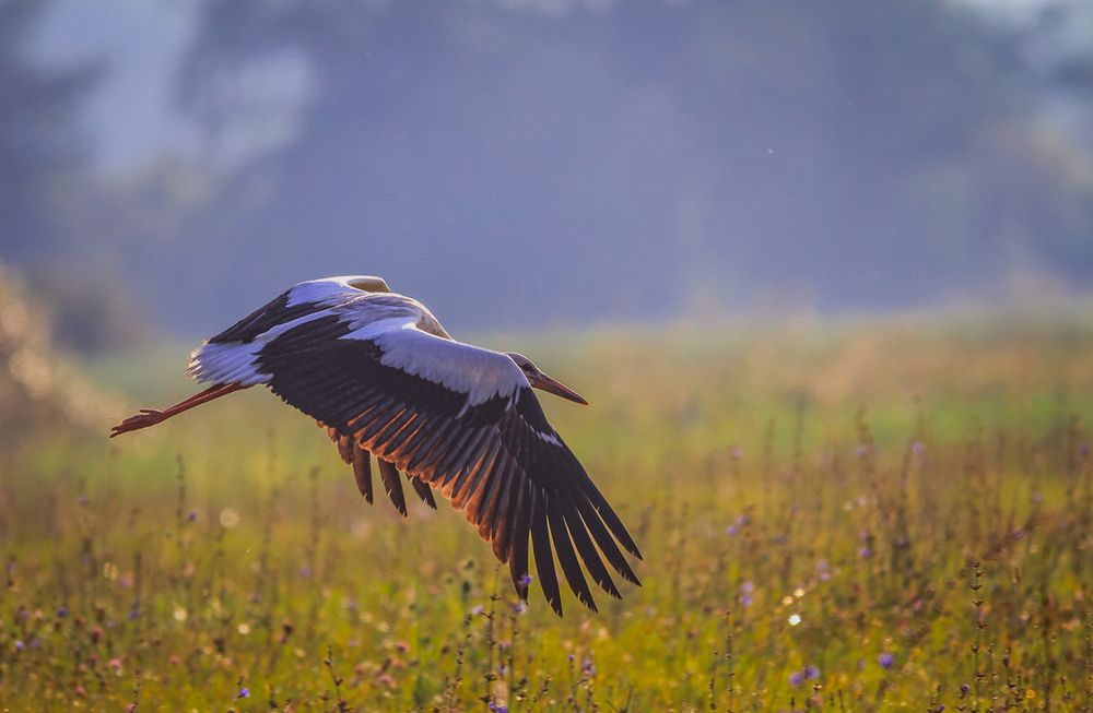 Photograph by Андрей Селиванов