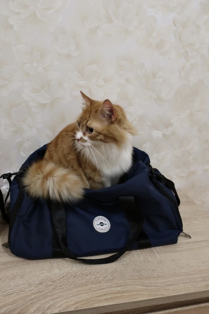 Photograph by Надежда