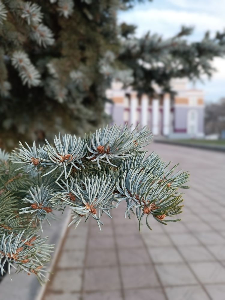 Photograph by Роза