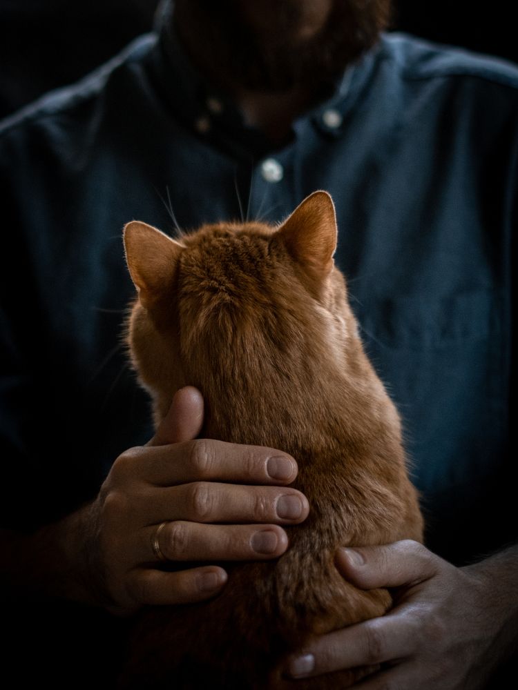 Photograph by Dina Damotseva