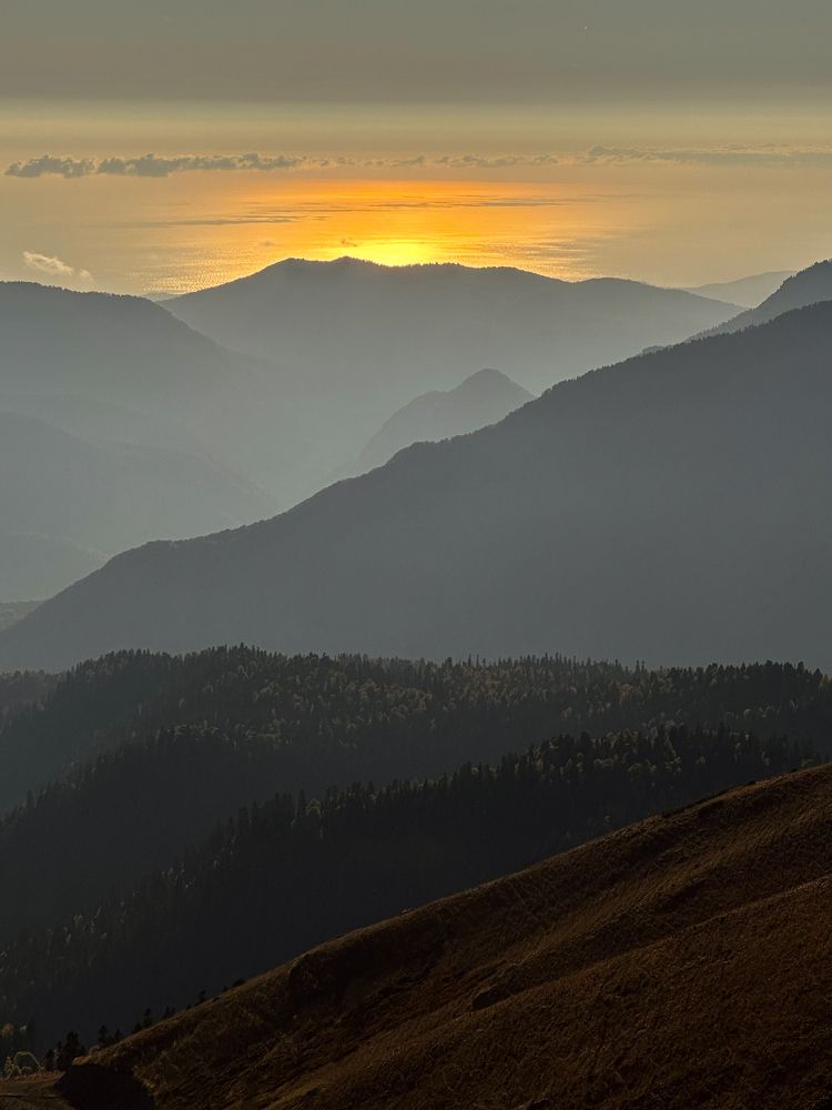 Photograph by Полина Самойлова