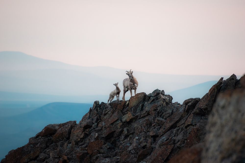 Горными тропами