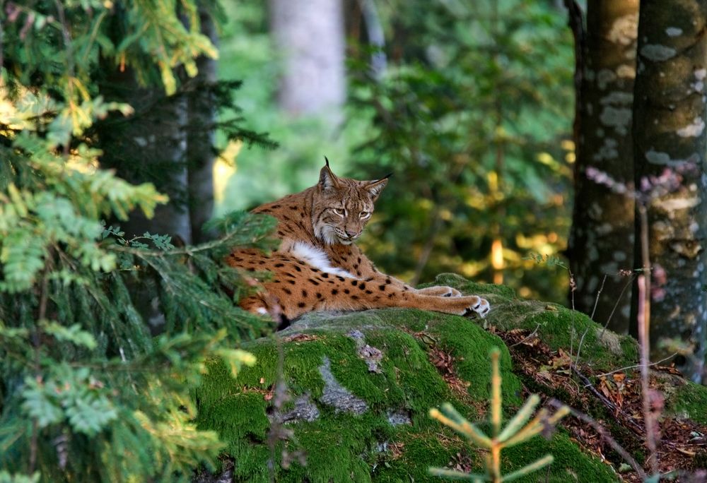 Photograph by Гусар Александр