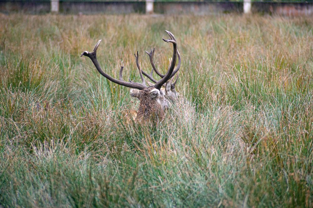 Photograph by Максим Жухлистов