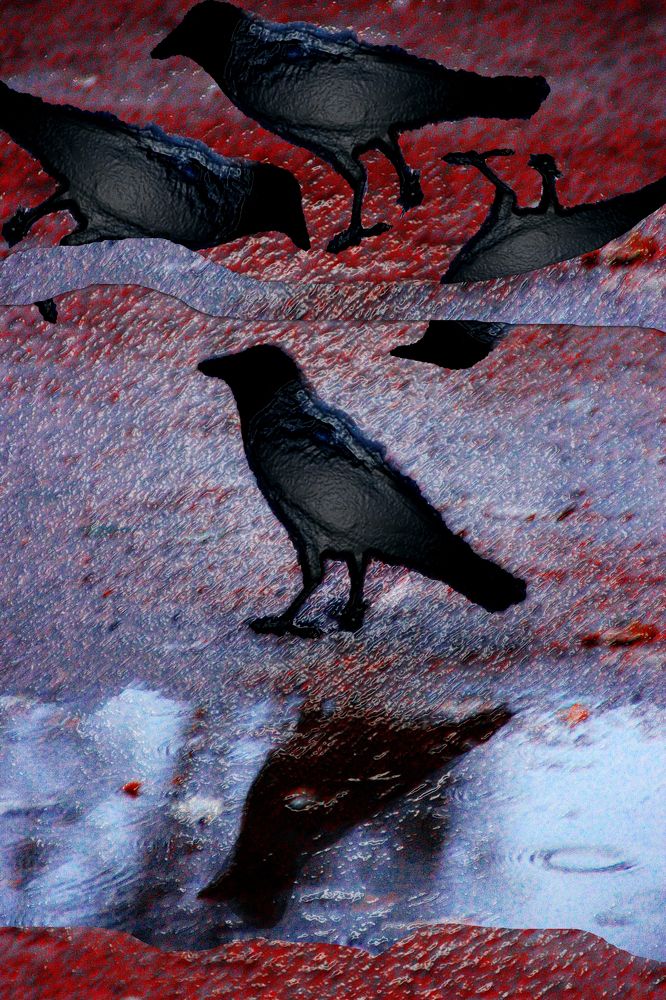 Территория