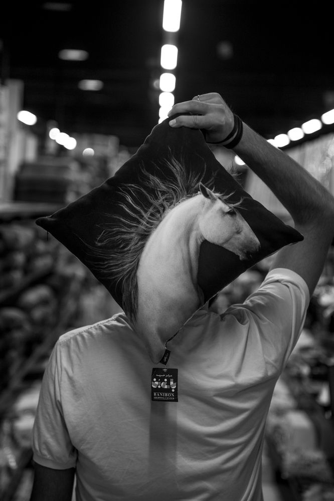 Photograph by seyed mostafa yousefi