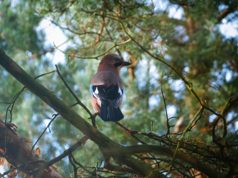 Photograph by Денис Панов