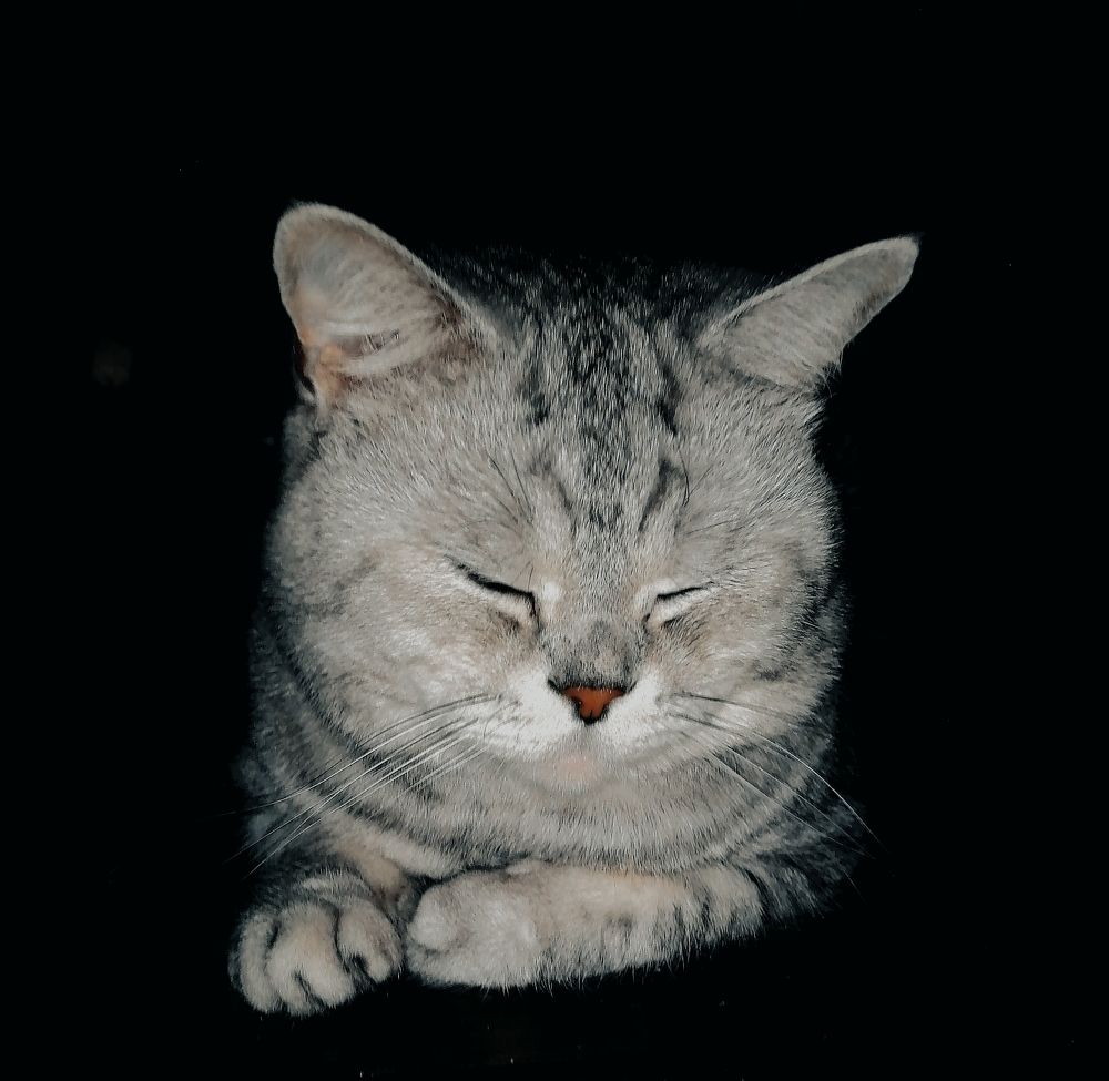 Photograph by Татьяна