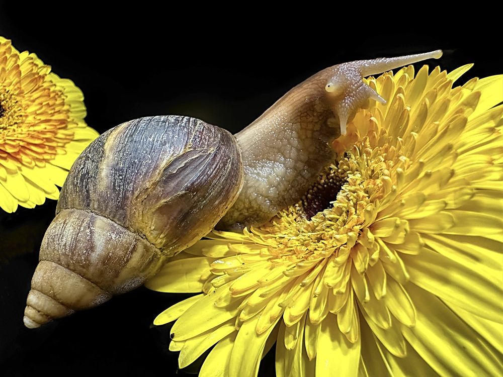 Photograph by Svetlana Rashidova