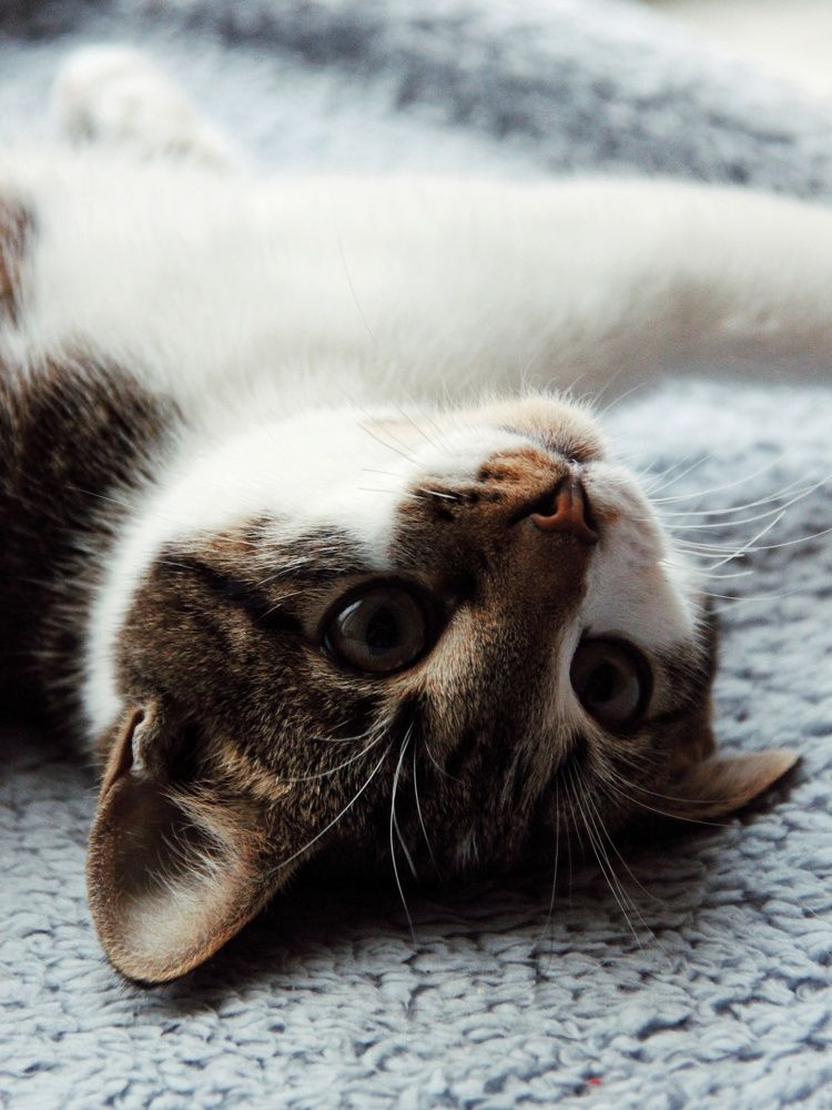 Photograph by Анна Любимова