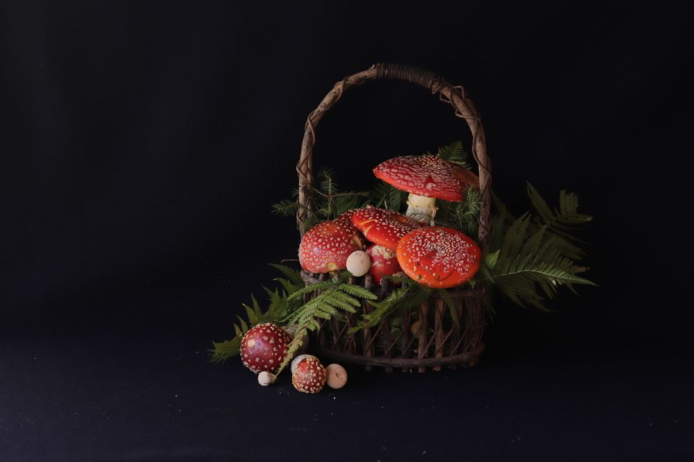 Photograph by Светлана Соколова