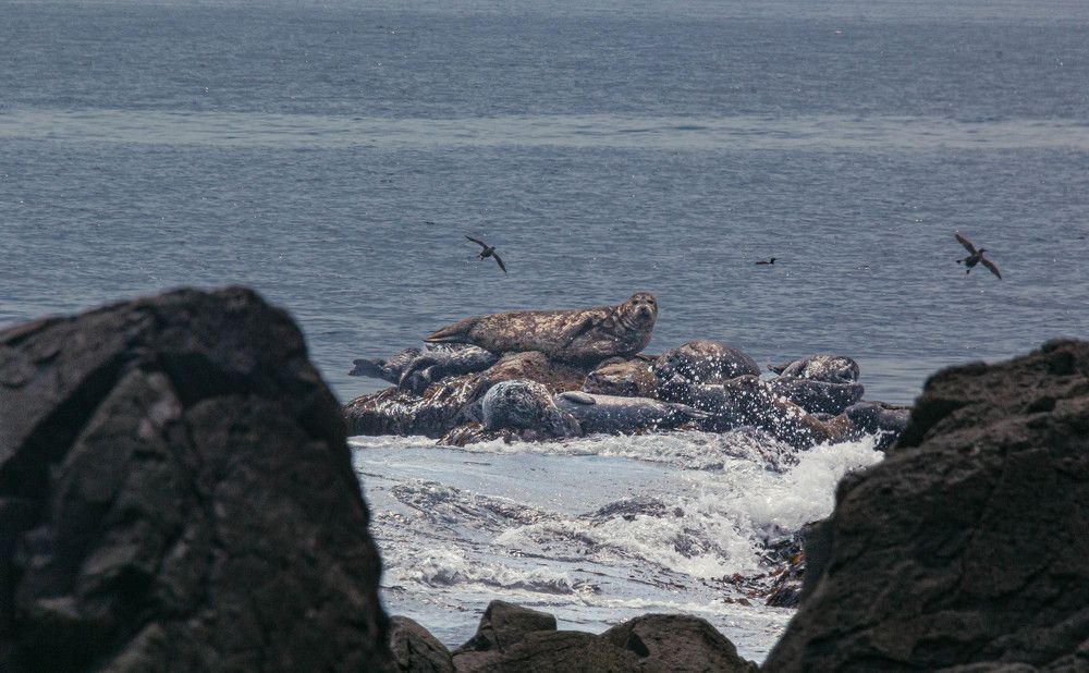 Photograph by Нурида Сорокоумова