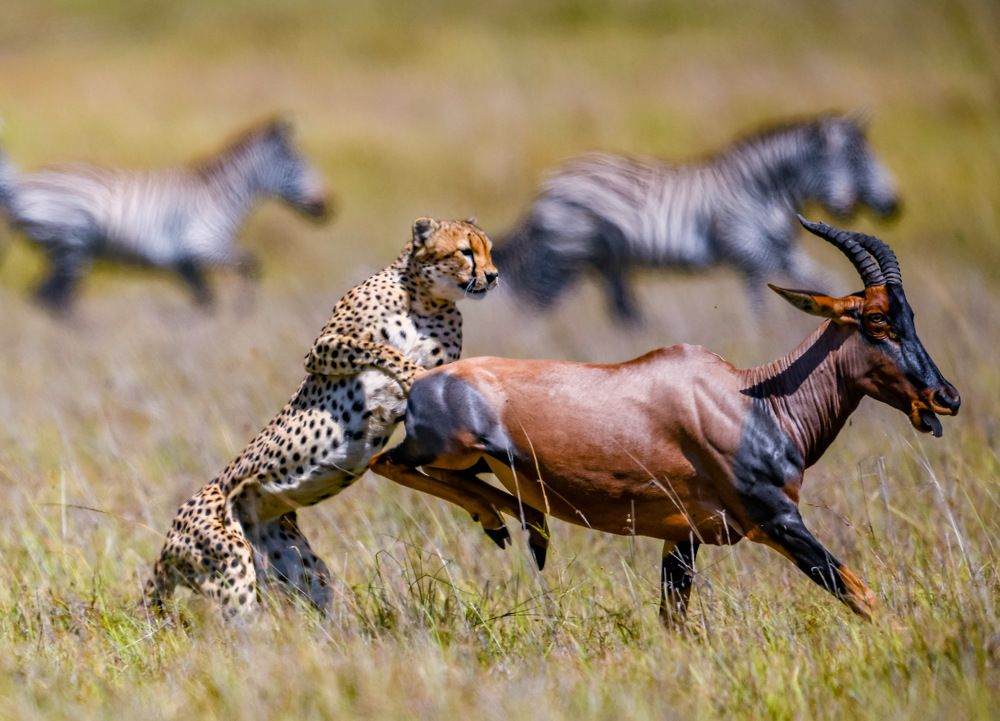 Photograph by Nitin Baste