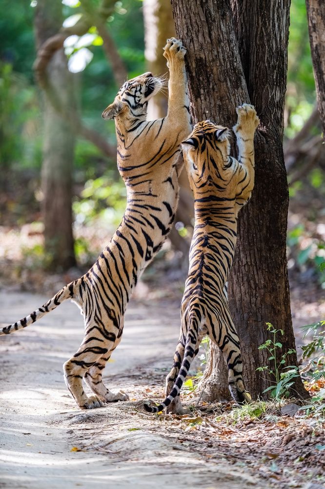 Photograph by Nitin Baste