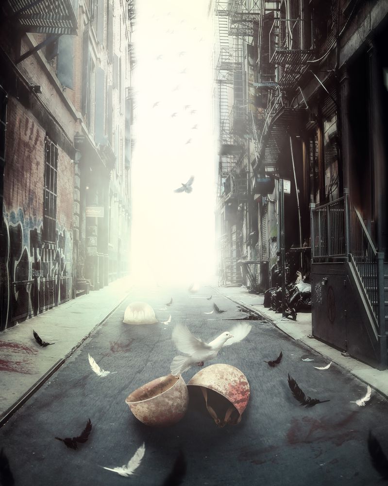 Photograph by Negar Jamalvand