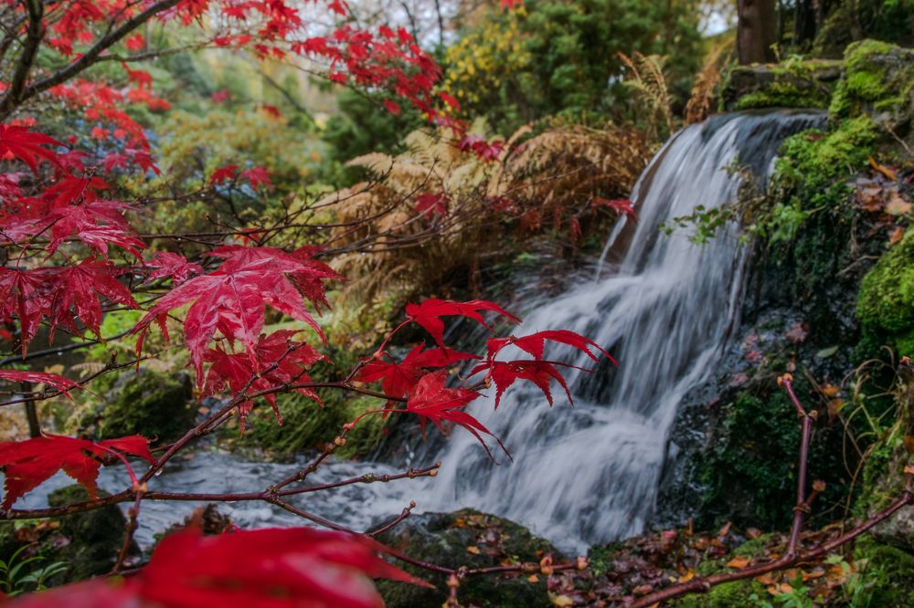 Фотография автора Elena Samusieva