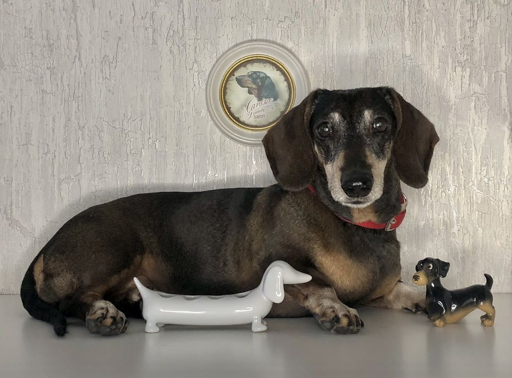 Photograph by Галина Пименова