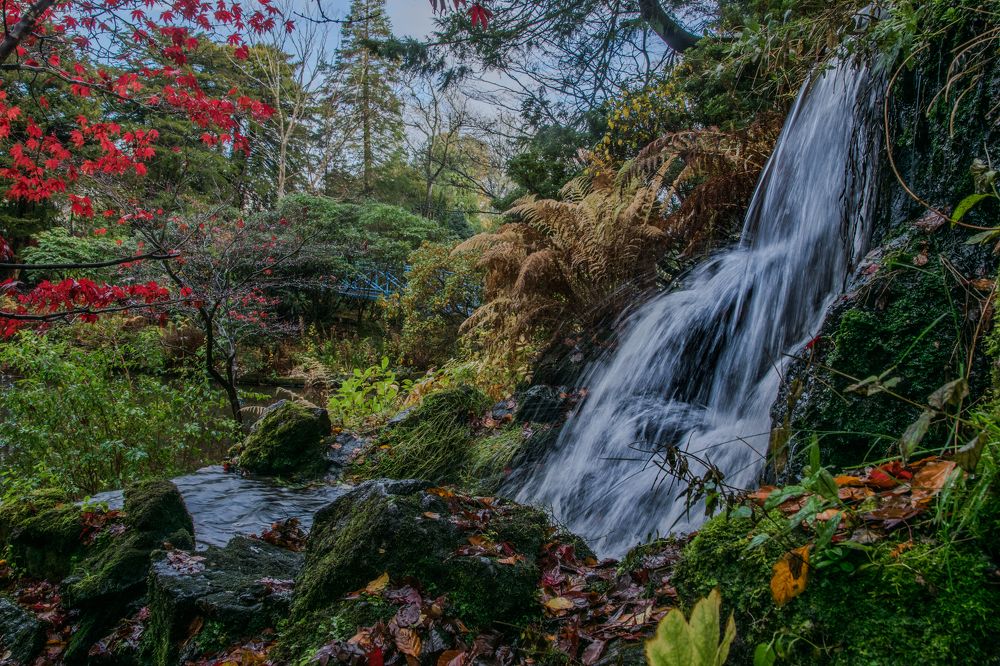 Фотография автора Elena Samusieva