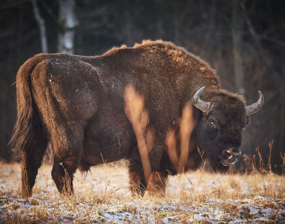 Photograph by Peter Hrubovsky