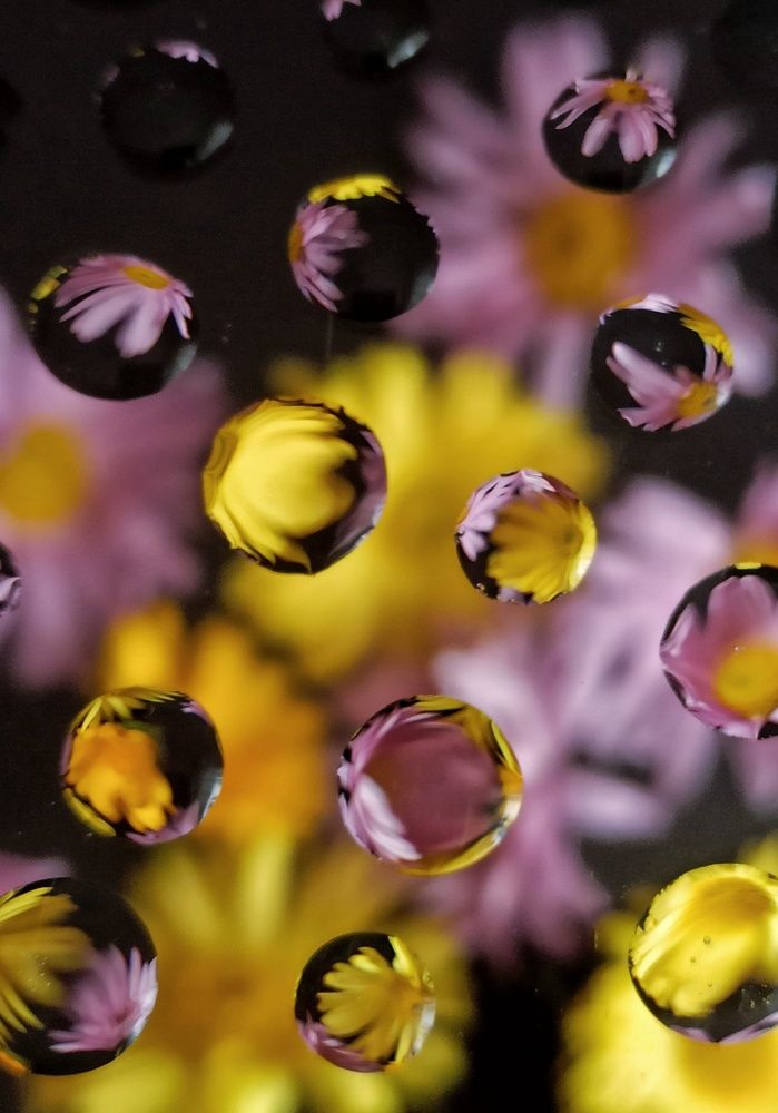 Photograph by Новикова Елена Сергеевна