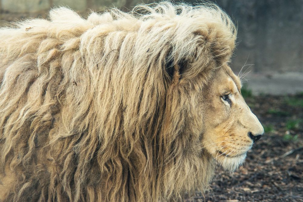 Photograph by Антон Гаврилов