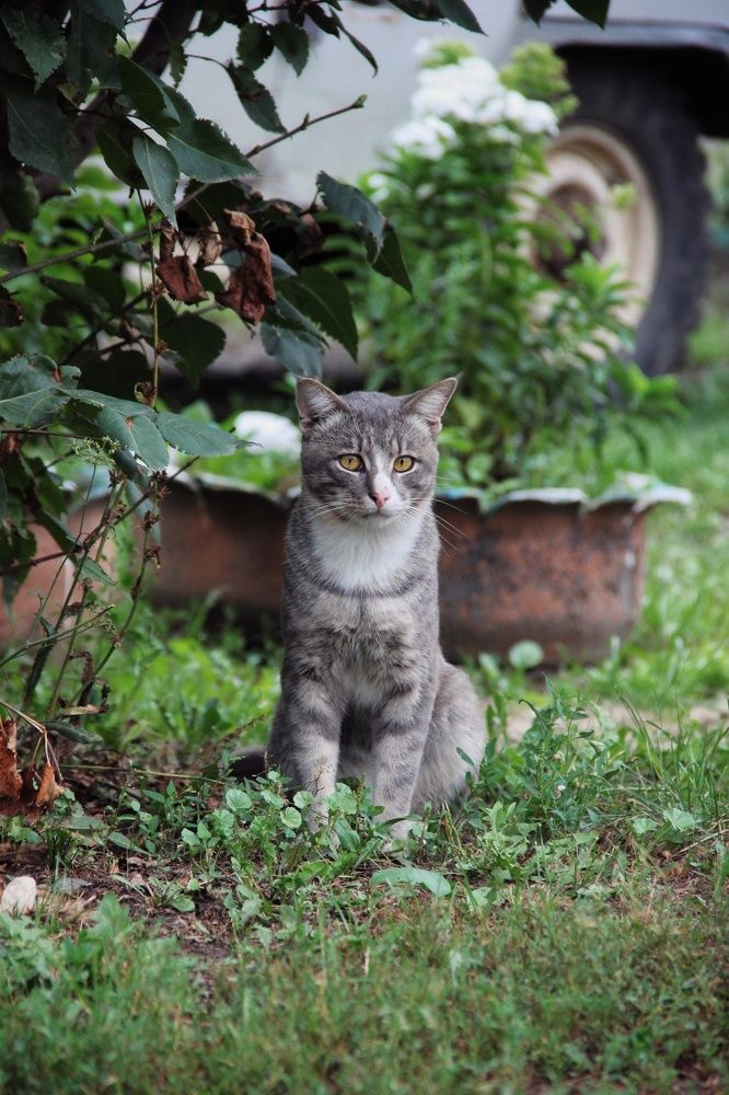 Photograph by Анна Любимова