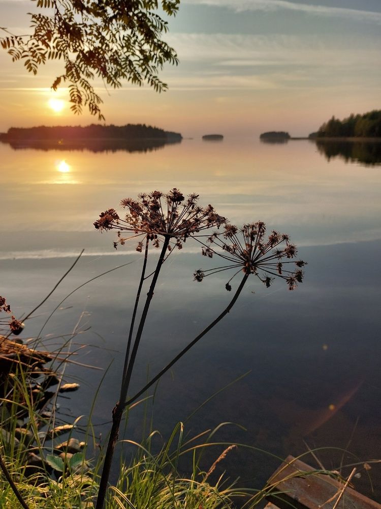 Photograph by Макарова Татьяна