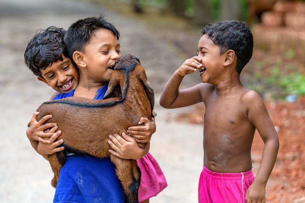 Photograph by Md Hashinur Reza