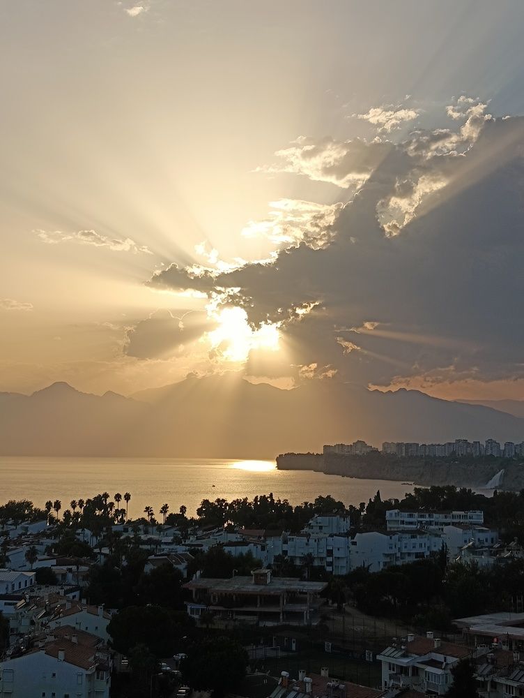 Фотография автора Елена Александрова