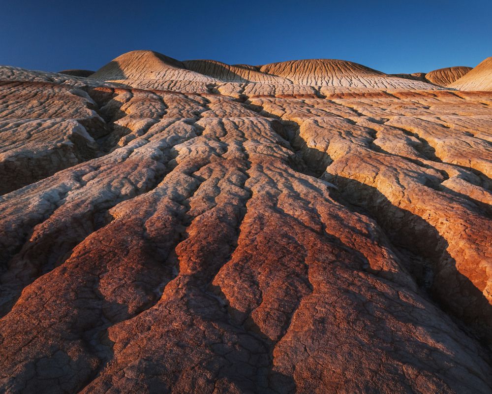 Photograph by Грамаков Юрий