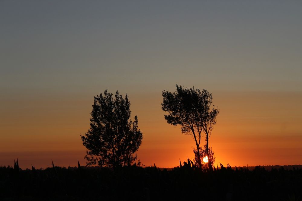 Photograph by Francisco Ferreira