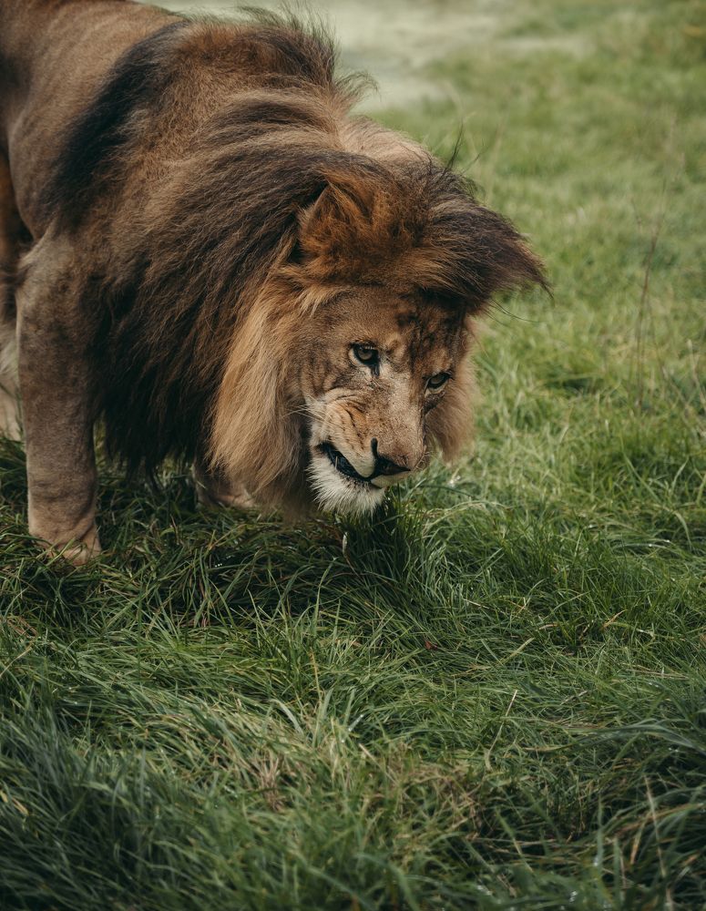 Photograph by Екатерина Карпова