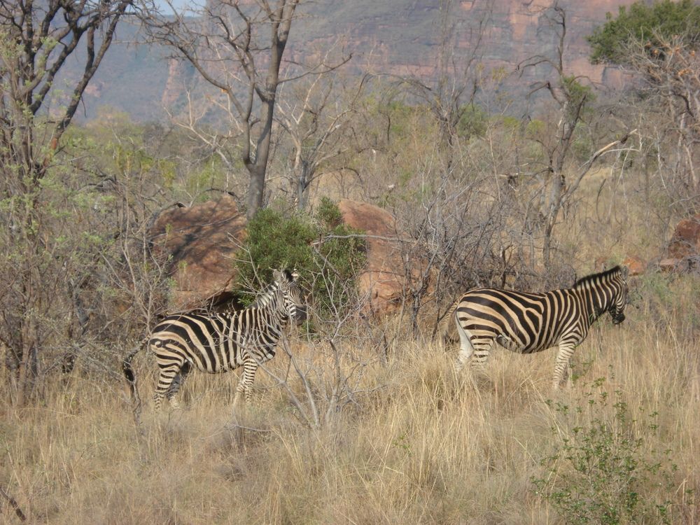 Photograph by Валентина