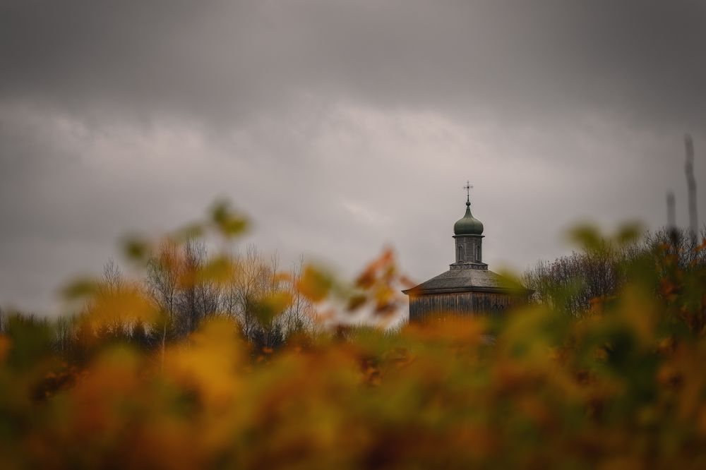 Фотография автора Павел Тимошенко