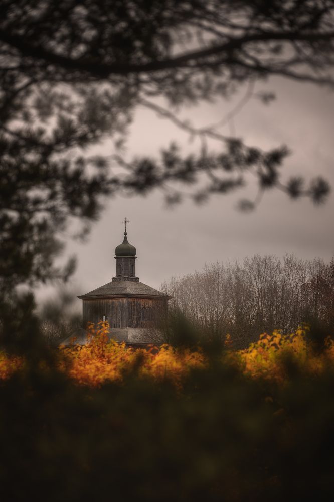 Фотография автора Павел Тимошенко