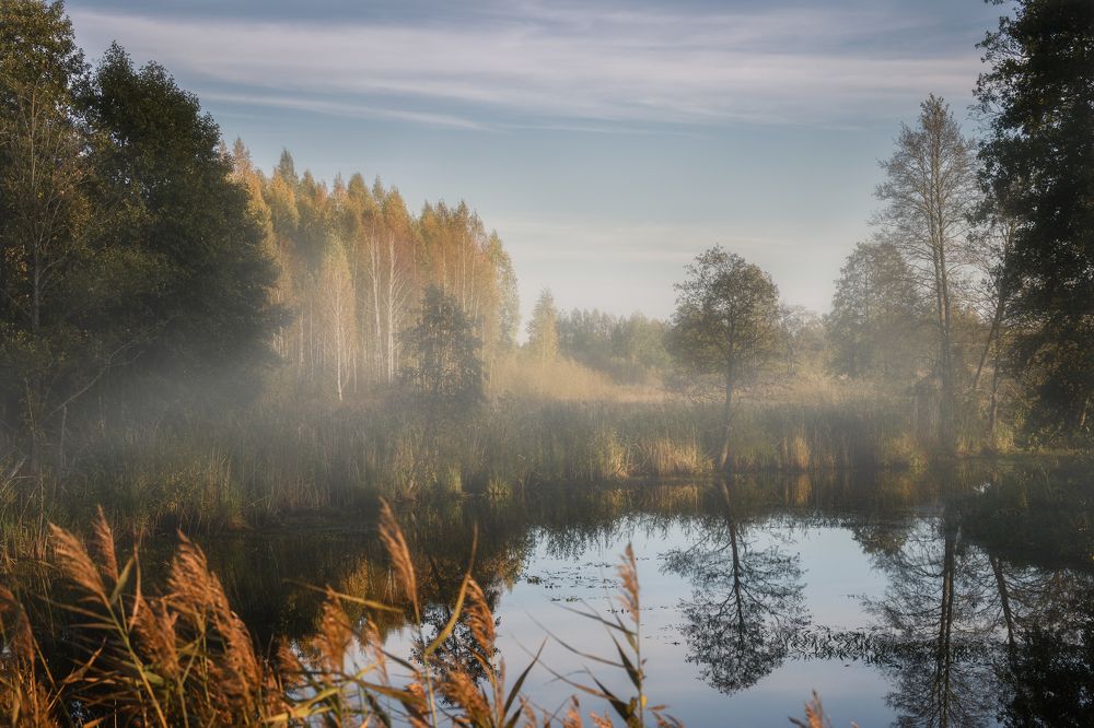Фотография автора Павел Тимошенко