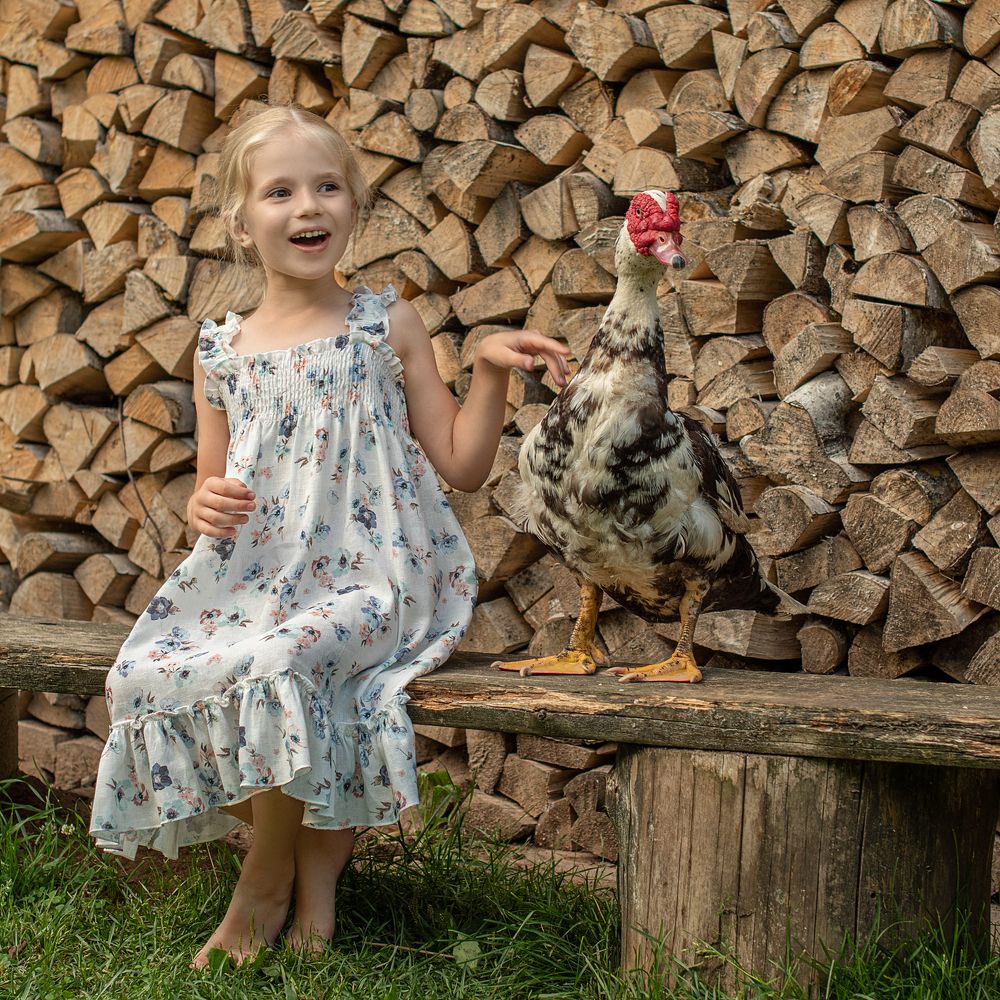 Фотография автора Светлана Дроголюбова