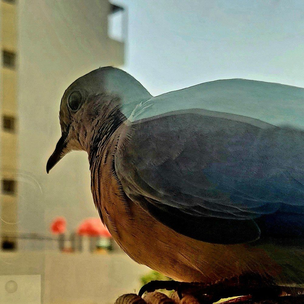 Photograph by Chithra menon