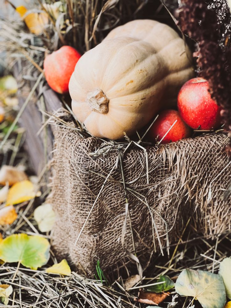 Photograph by Алена Жирова