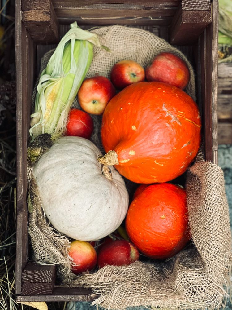 Photograph by Алена Жирова