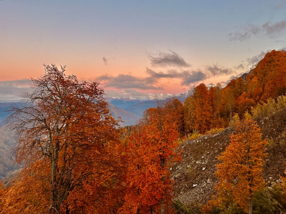 Photograph by Полина Самойлова